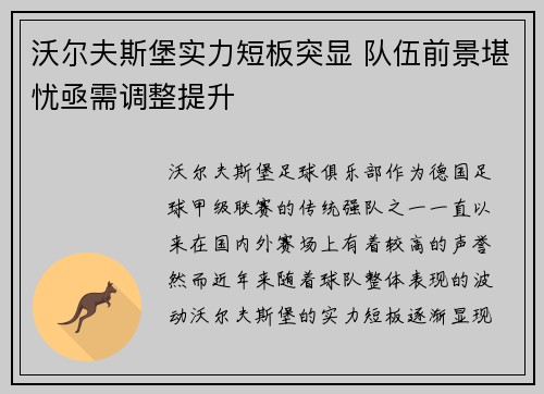 沃尔夫斯堡实力短板突显 队伍前景堪忧亟需调整提升